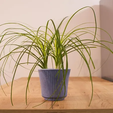 Lux 1 With Free Parking * Пловдив