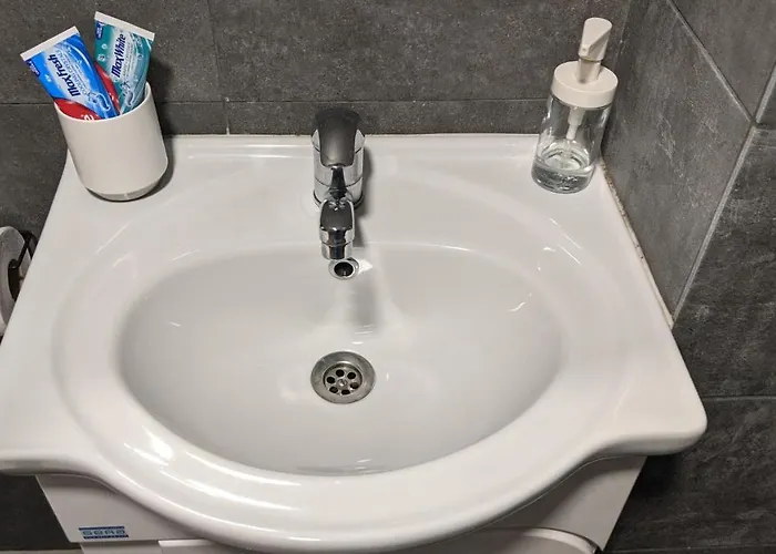 Lux 1 With Free Parking Daire